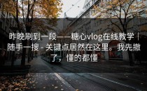 昨晚刷到一段——糖心vlog在线教学｜随手一搜 - 关键点居然在这里。我先撤了，懂的都懂
